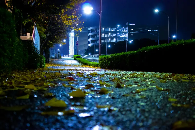落ち葉と街灯の夜道