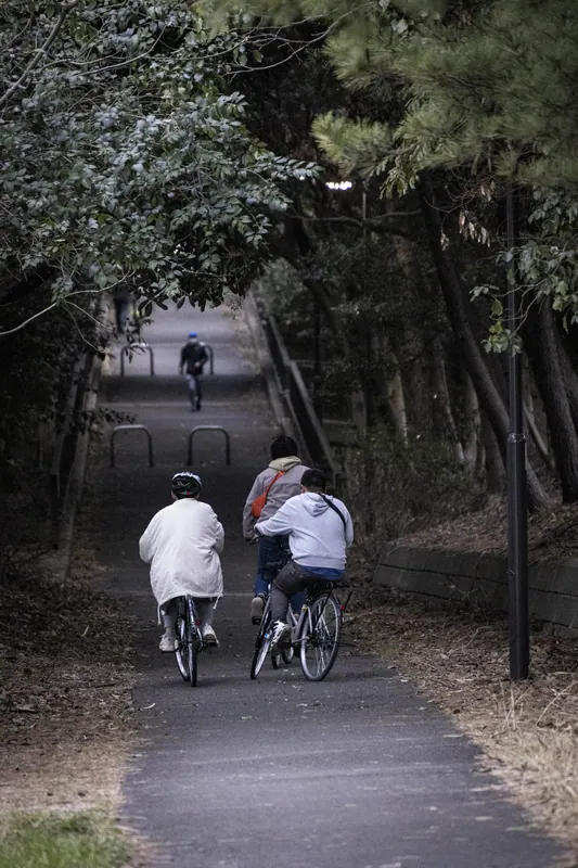 木立の小道をゆく自転車