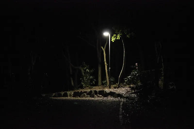 闇夜に灯る街灯